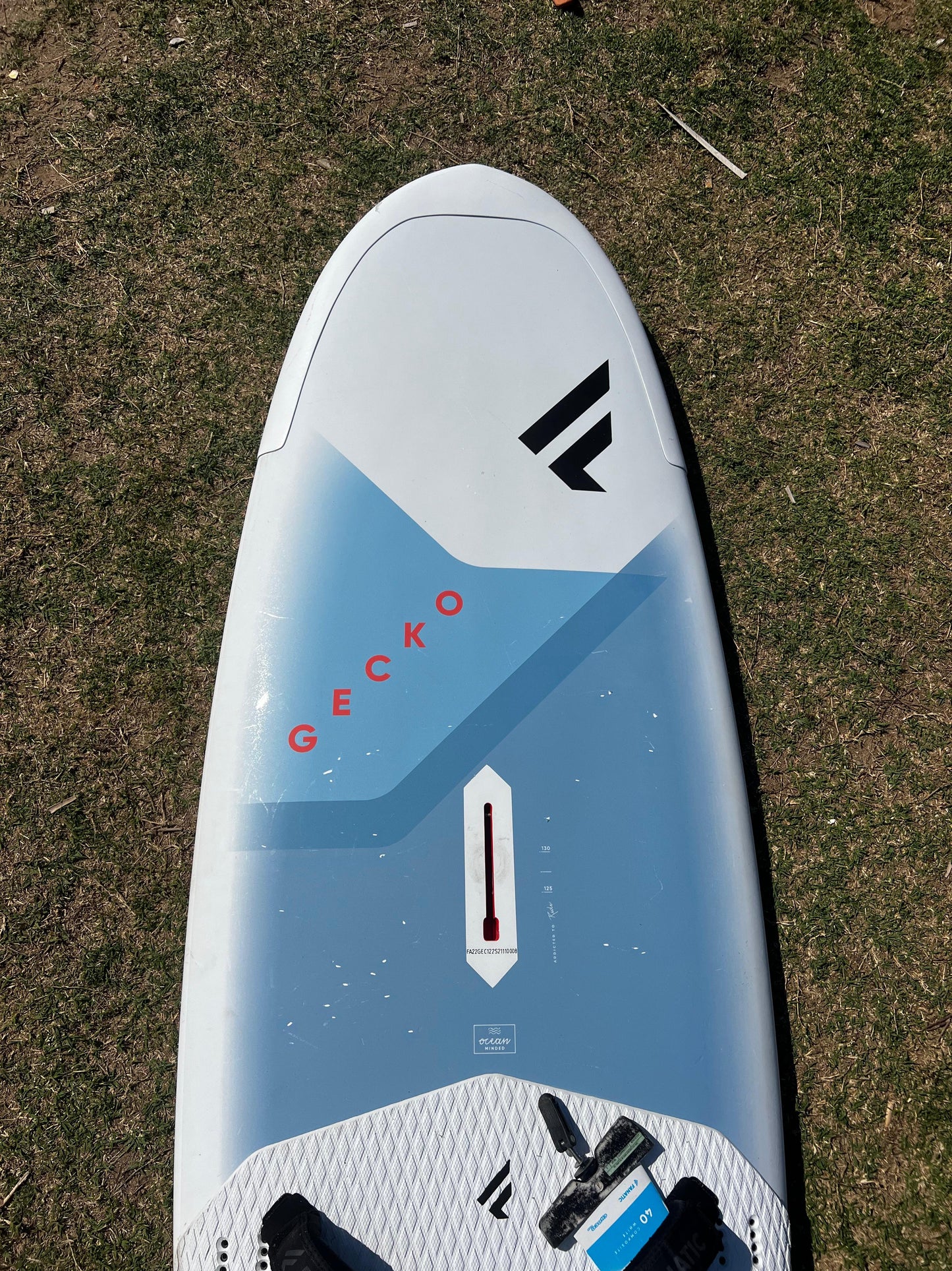 Gecko HRS 122  nº12 2022